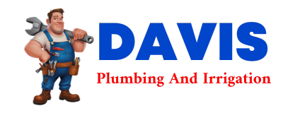 Trusted plumber in LILLIE